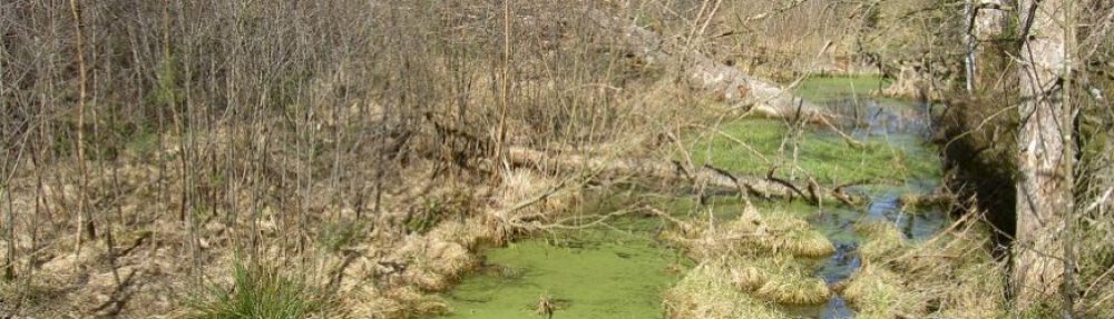 Schwäbischer Albverein | Riss-Iller Gau